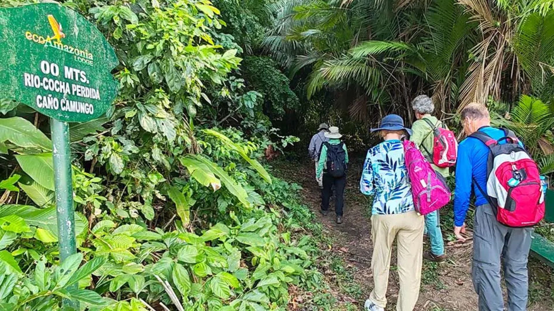 Eco Aventura Puerto Maldonado 4 Días 3 Noches