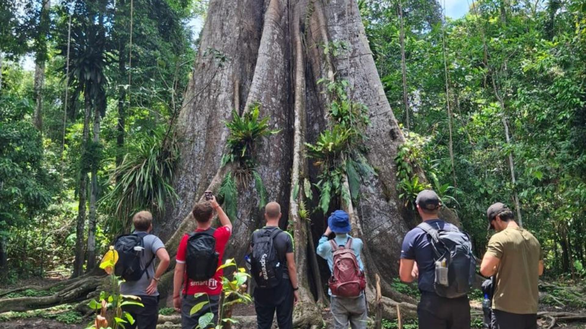 Amazon Journeys Iquitos 3 Días 2 Noches